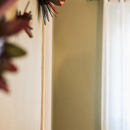 Le Leon Bourgeois 6 Pers Hypercentre شقة *