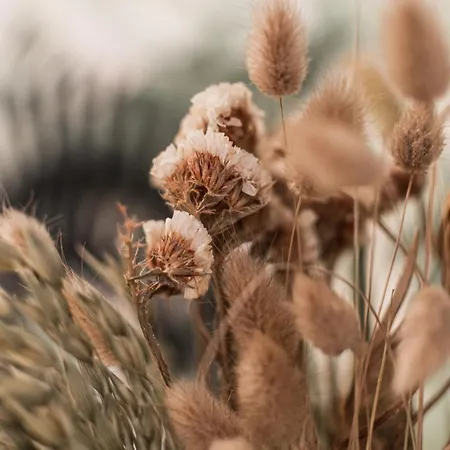 شقة Le Leon Bourgeois 6 Pers Hypercentre *