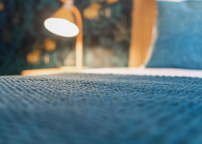 Le Leon Bourgeois 6 Pers Hypercentre Apartment *