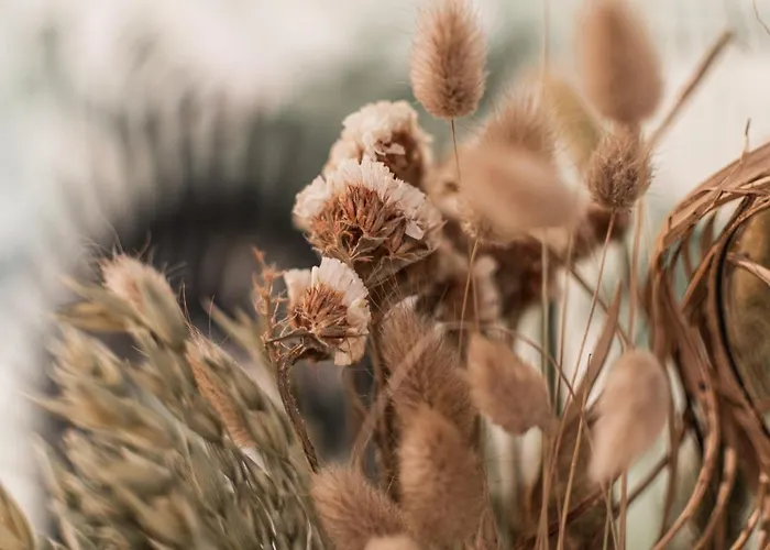 Apartment Le Leon Bourgeois 6 Pers Hypercentre *