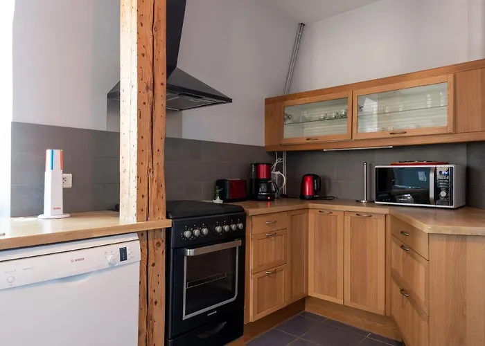 Le Leon Bourgeois 6 Pers Hypercentre Apartment